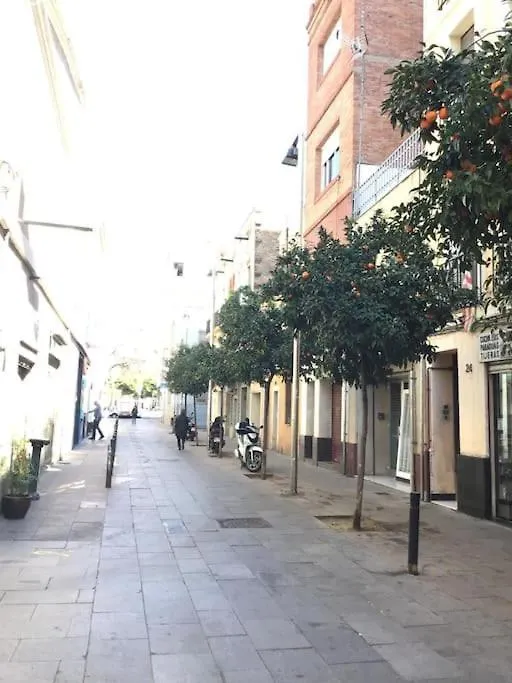 ברצלונה 1201 - Encantador Apartamento En Poble Nou